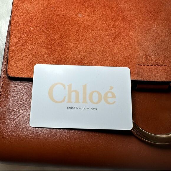 Chloé Faye Clutch - Picture 3 of 13